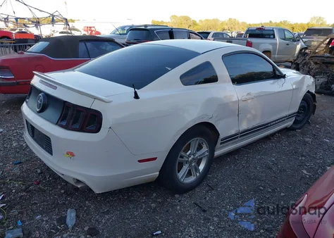 2013 Ford Mustang V6 z USA, uszkodzony, nr VIN 1ZVBP8AM1D5274852